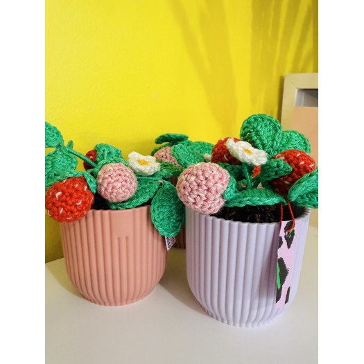 Atelier Gogogo - Fraisier