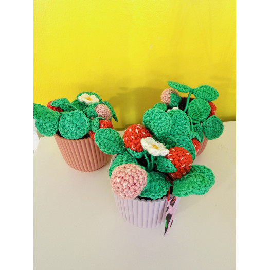 Atelier Gogogo - Fraisier