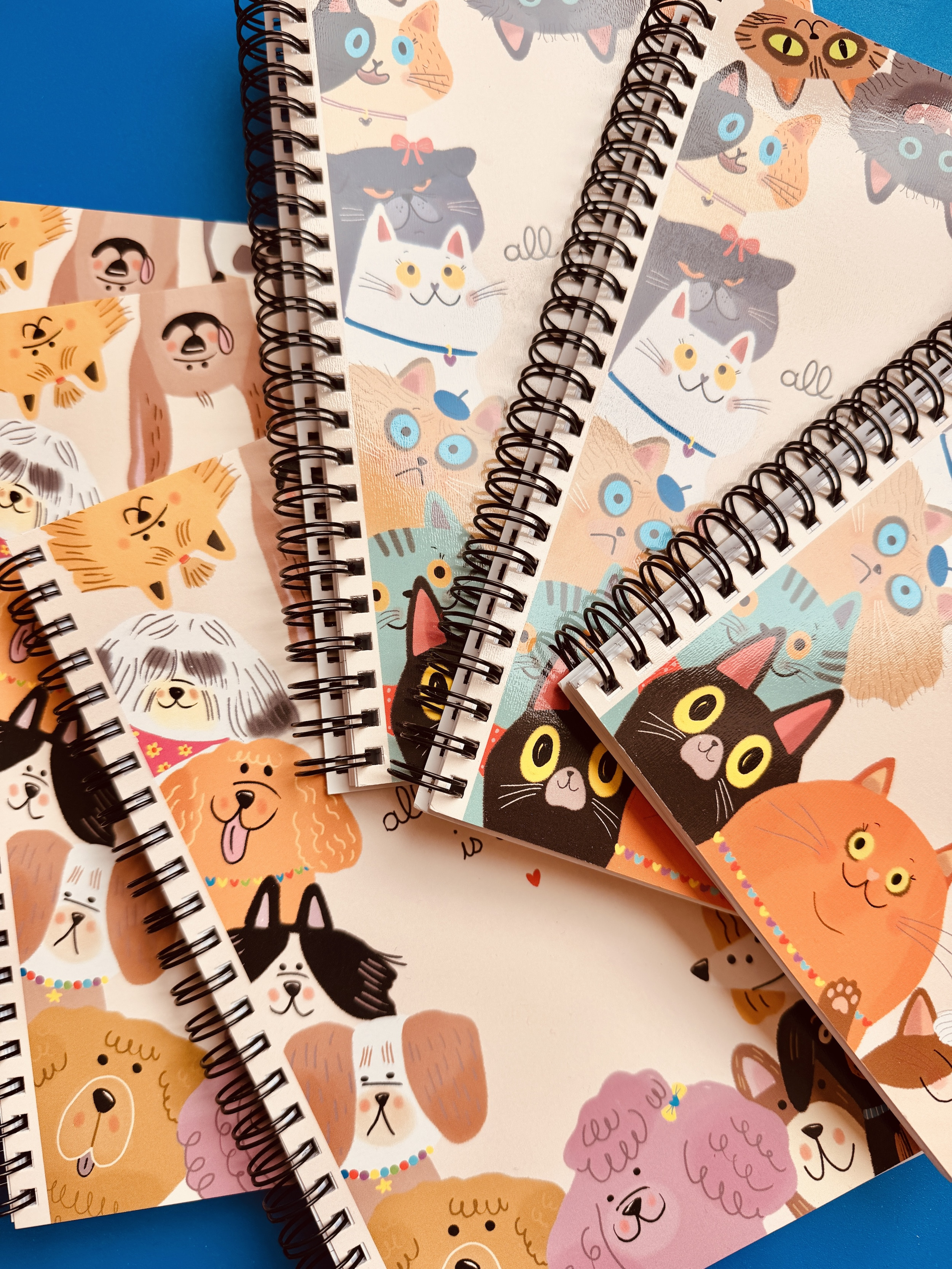 copia di copia di MARY GRIBOUILLE - Illustrations