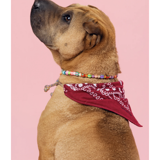 Studio Lulu - Collier "Le Chien"