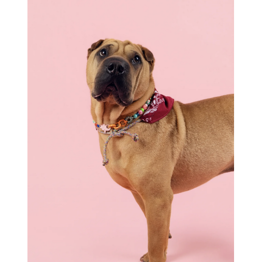 Studio Lulu - Collier "Le Chien"