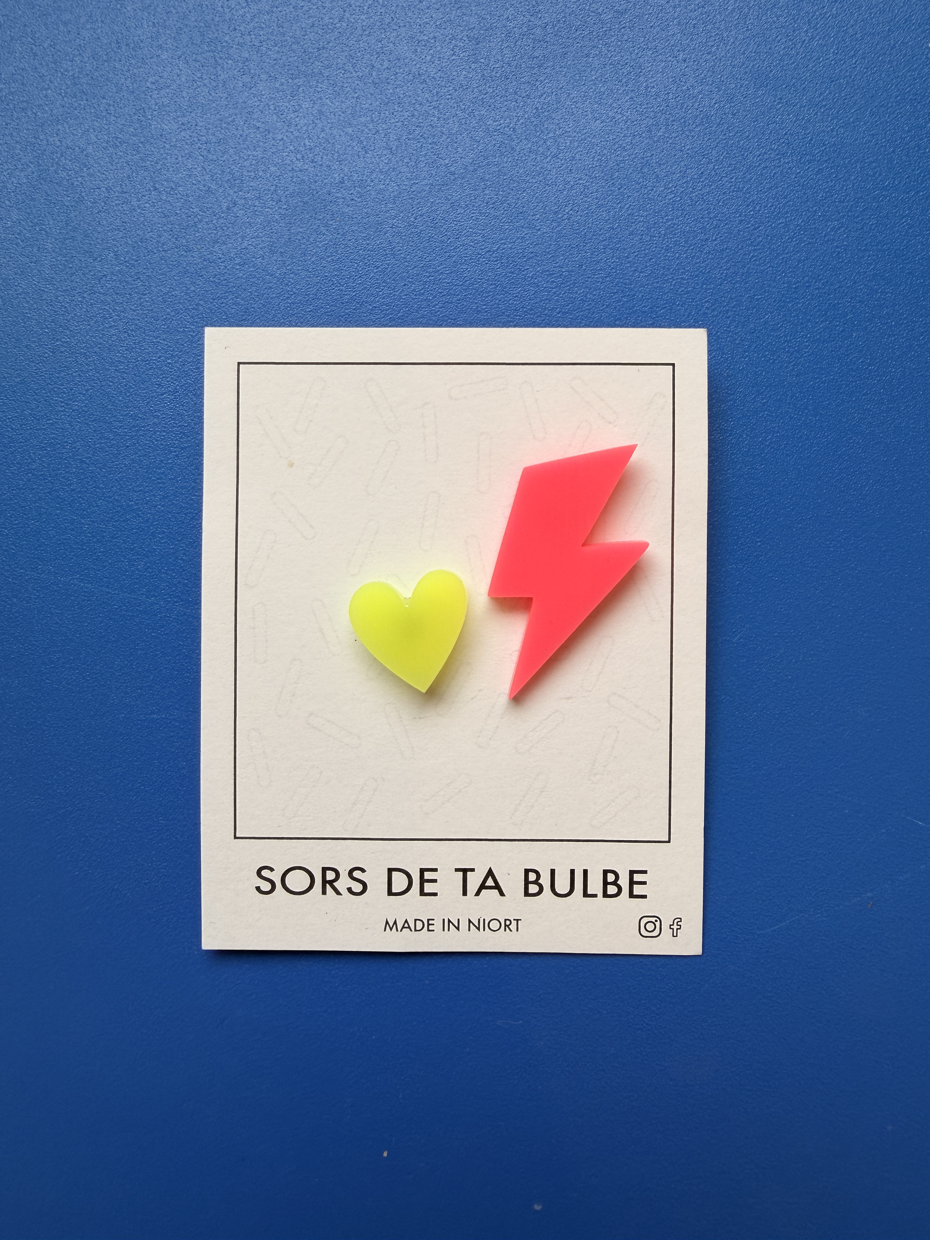 Sors de ta bulbe - Pin's duo