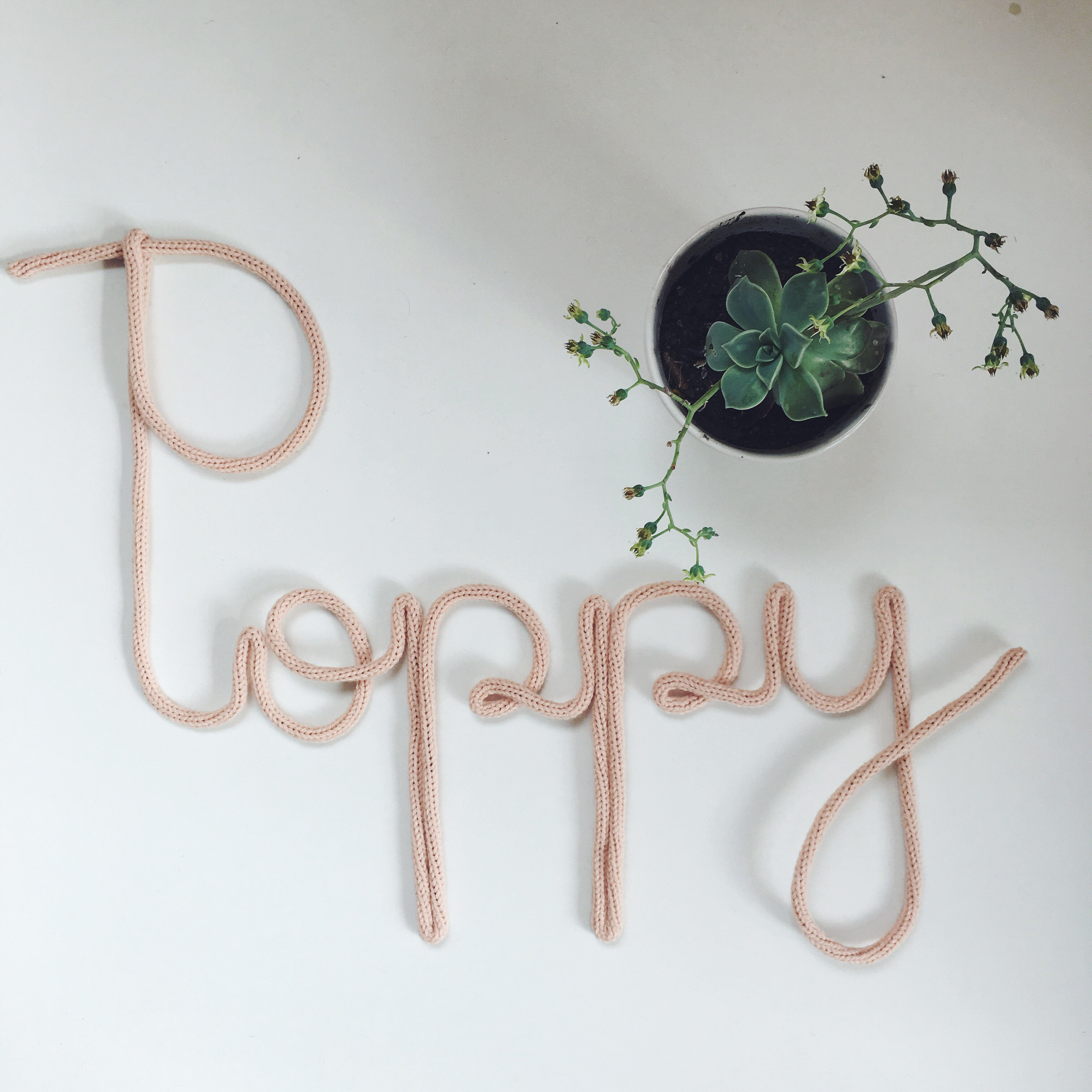 La Typo Scolaire-Grand format