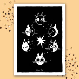 Lénacadabra - Illustrations