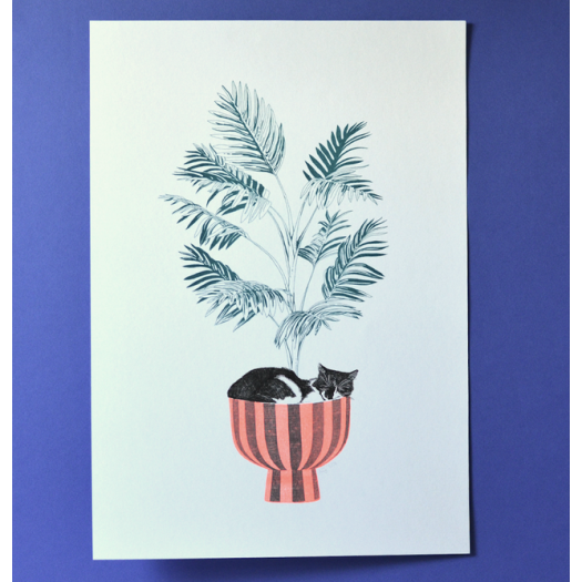 Amypiou - Illustration A3