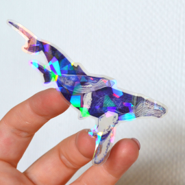 copia di copia di Amypiou - Illustration