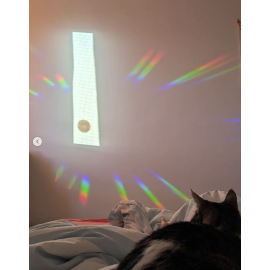 Atelier Bancal - Sun Catcher