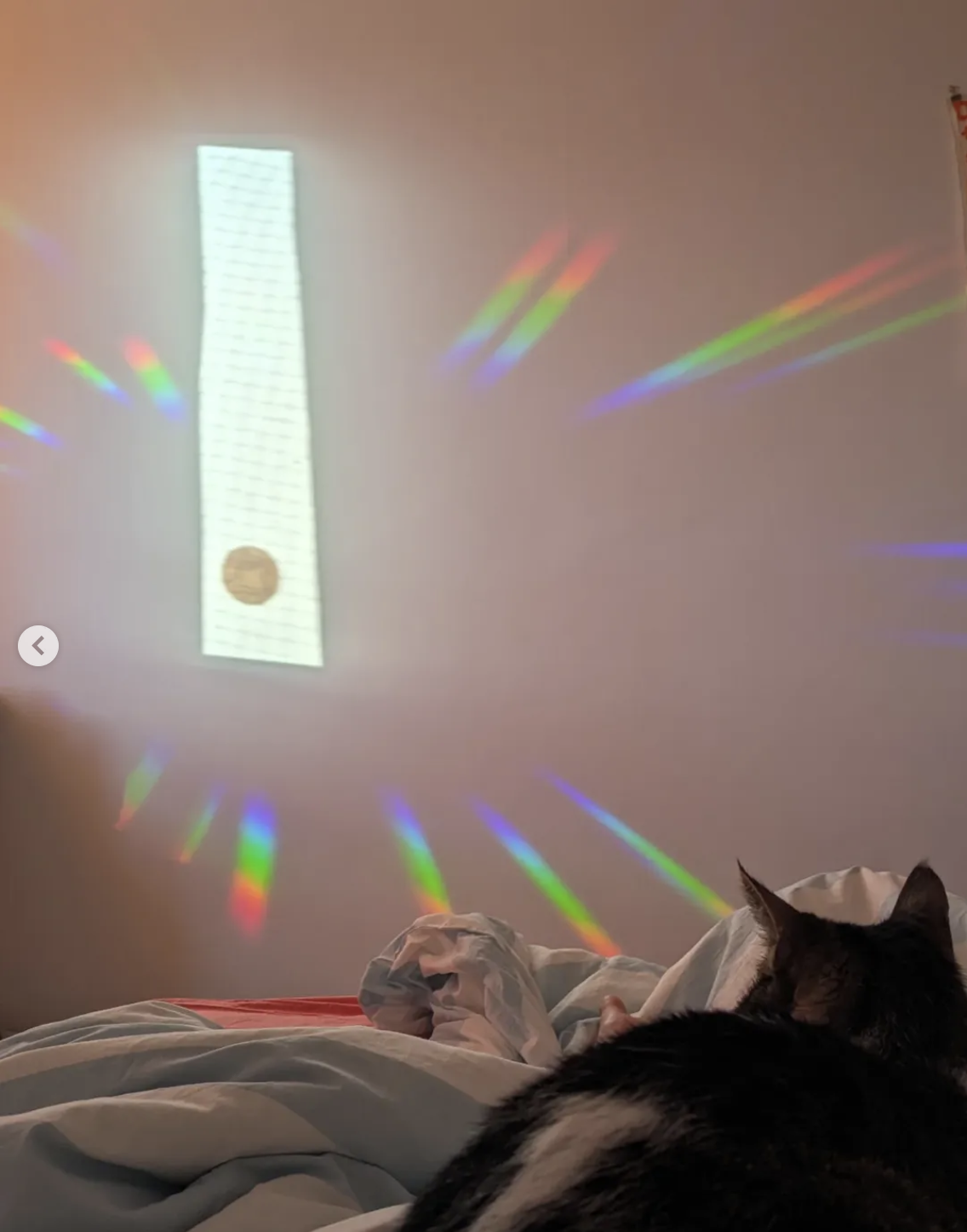 Atelier Bancal - Sun Catcher