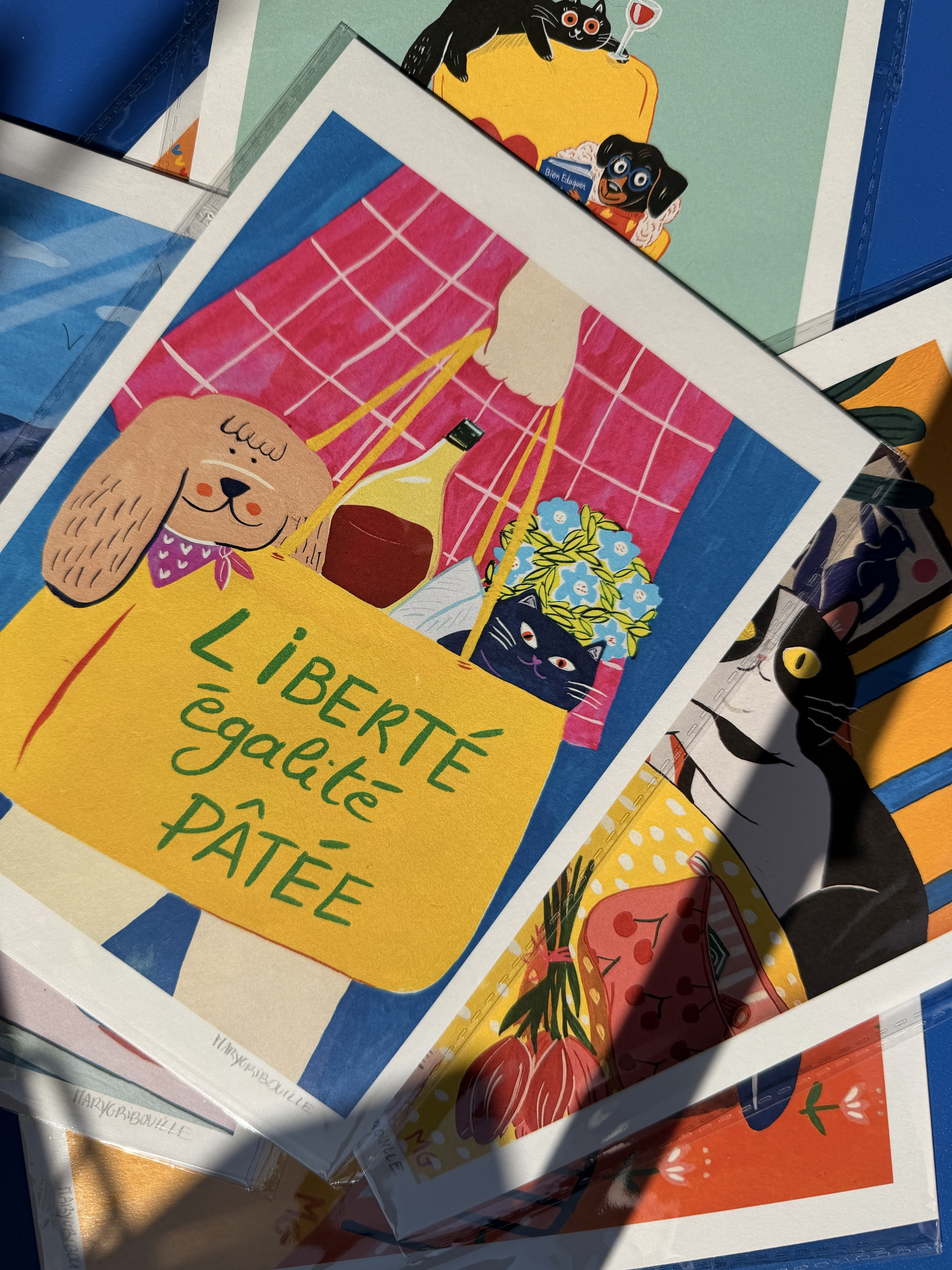 Mary Gribouille - Illustrations A5