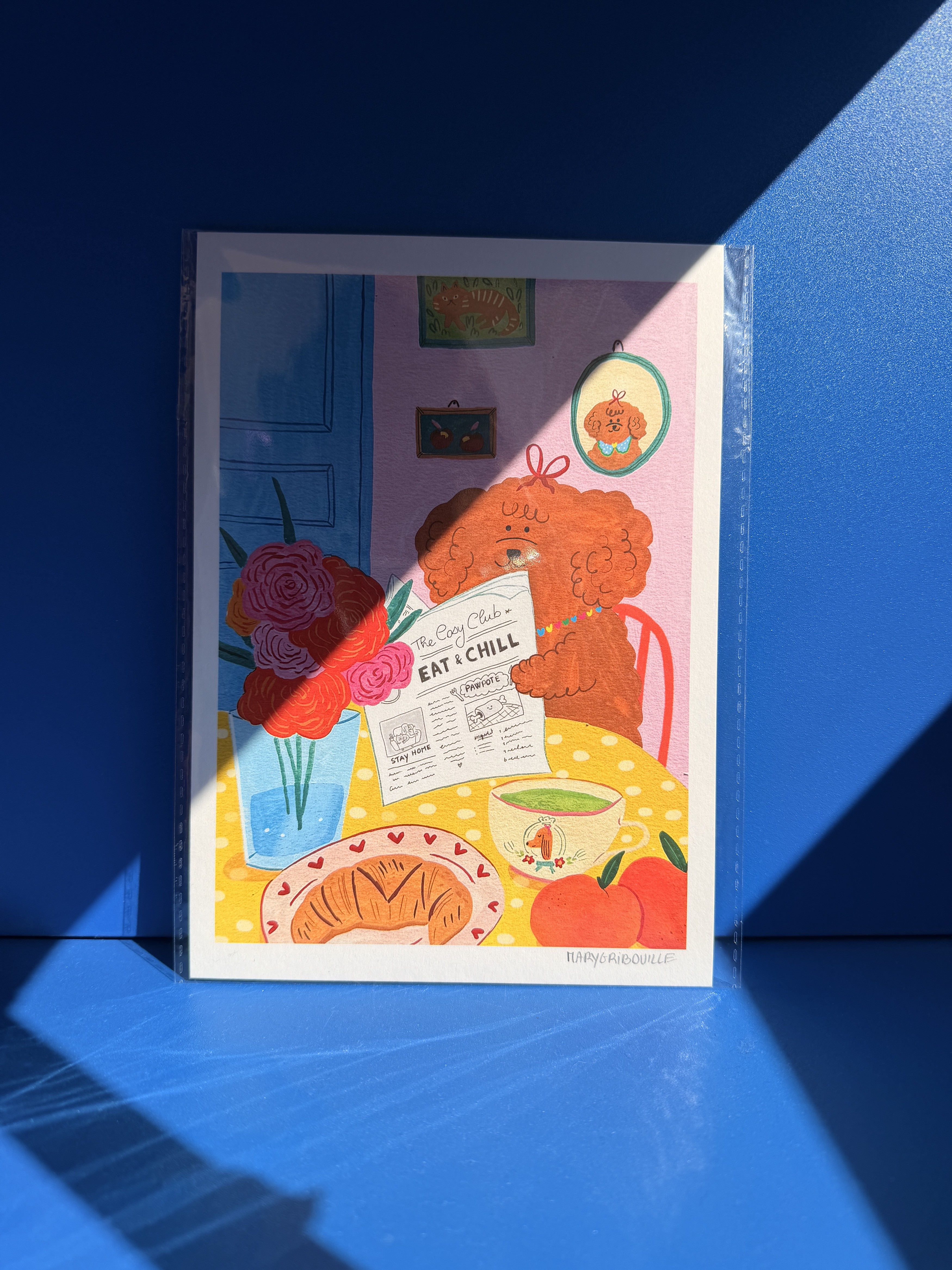 Mary Gribouille - Illustrations A5